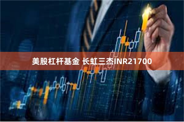 美股杠杆基金 长虹三杰INR21700