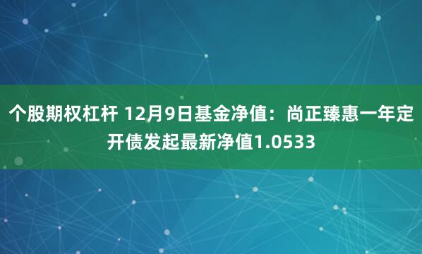 个股期权杠杆 12月9日基金净值：尚正臻惠一年定开债发起最新净值1.0533