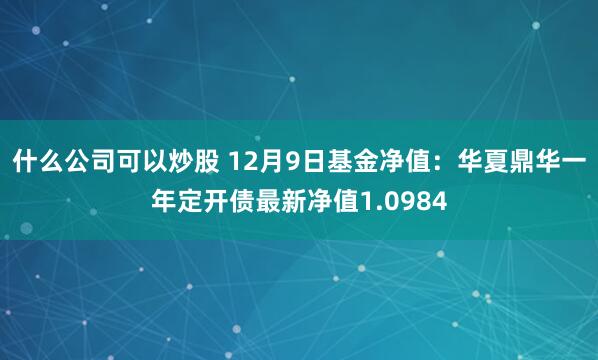 什么公司可以炒股 12月9日基金净值：华夏鼎华一年定开债最新净值1.0984