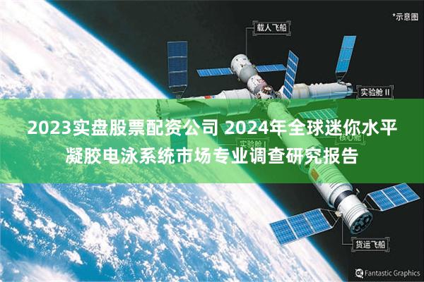 2023实盘股票配资公司 2024年全球迷你水平凝胶电泳系统市场专业调查研究报告