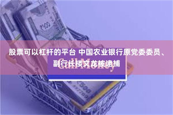 股票可以杠杆的平台 中国农业银行原党委委员、副行长楼文龙被逮捕