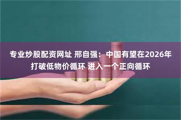 专业炒股配资网址 邢自强：中国有望在2026年打破低物价循环 进入一个正向循环