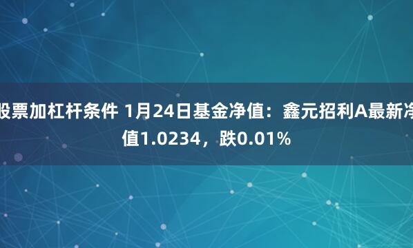 股票加杠杆条件 1月24日基金净值：鑫元招利A最新净值1.0234，跌0.01%