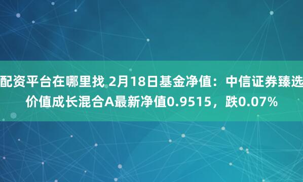 配资平台在哪里找 2月18日基金净值：中信证券臻选价值成长混合A最新净值0.9515，跌0.07%