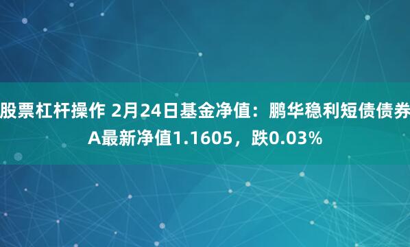 股票杠杆操作 2月24日基金净值：鹏华稳利短债债券A最新净值1.1605，跌0.03%